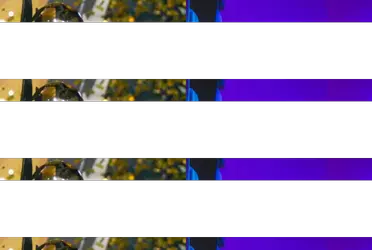 De ser multicampeón pasó a esperar suscriptores