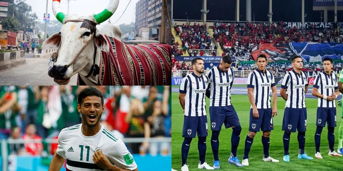 Las vacas sagradas le harían grilla y se perdería su primer mundial