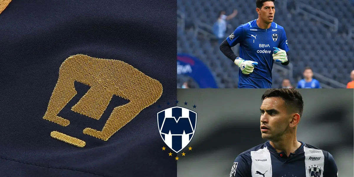 Los Gatos Dorados querían a uno de nuestros mejores elementos, los ha despreciado